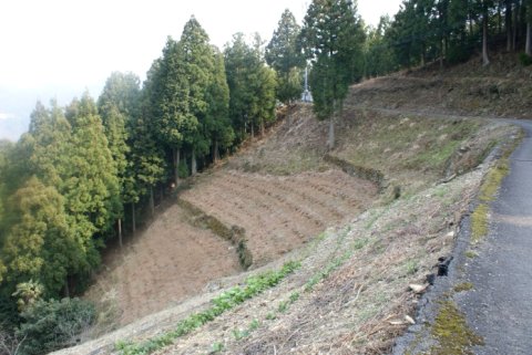 傾斜畑の土壌流失を防止する高度な知恵と技術体系8