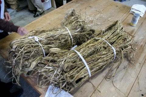剣山系は、樹皮繊維を利用する農産業の宝庫7