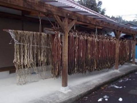 剣山系は、樹皮繊維を利用する農産業の宝庫9
