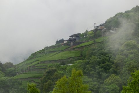 剣山系の多様な傾斜地農業の外観14