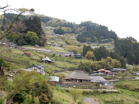 剣山系の多様な傾斜地農業の外観16