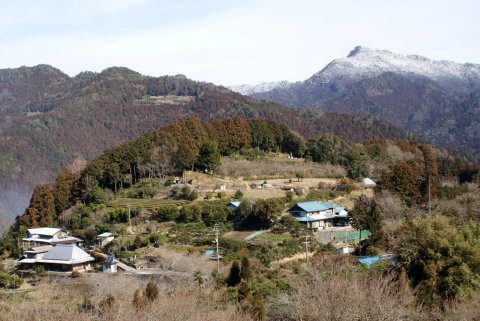 剣山系の多様な傾斜地農業の外観18