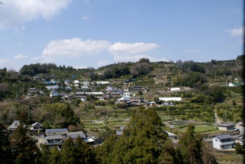 剣山系の多様な傾斜地農業の外観20