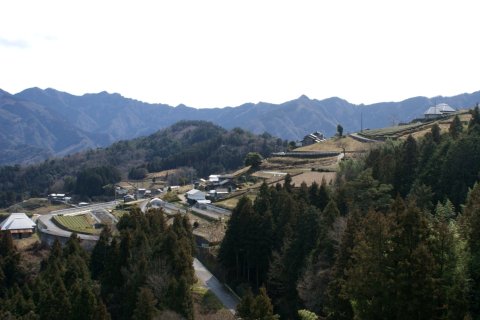 剣山系の多様な傾斜地農業の外観8