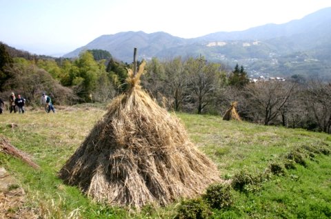 剣山系の伝統農業のシンボル「コエグロ」4