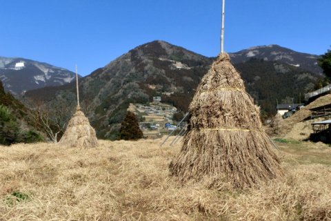 剣山系の伝統農業のシンボル「コエグロ」8