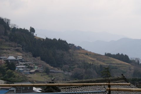 貞光字平石の急傾斜地畑の風景