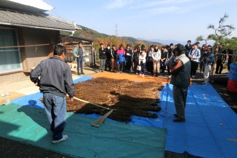 徳島大学生60名が傾斜地農業を学習（徳島大学との連係）1